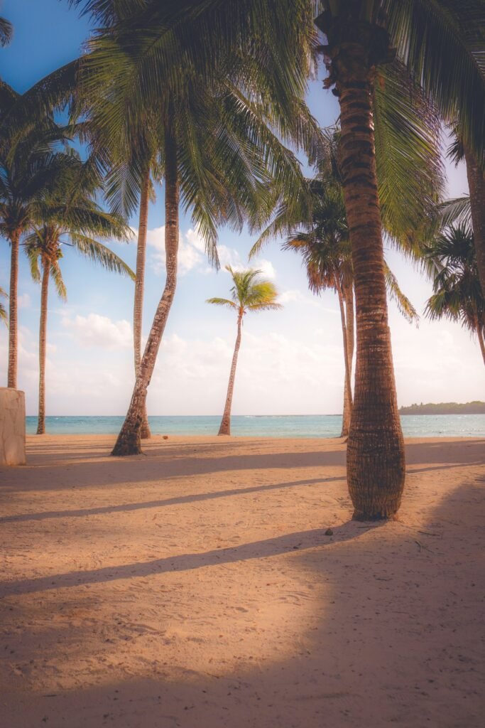 Cancún From Canada in November: Why the Cheapest Week of Winter Sun Lands Before the Holidays