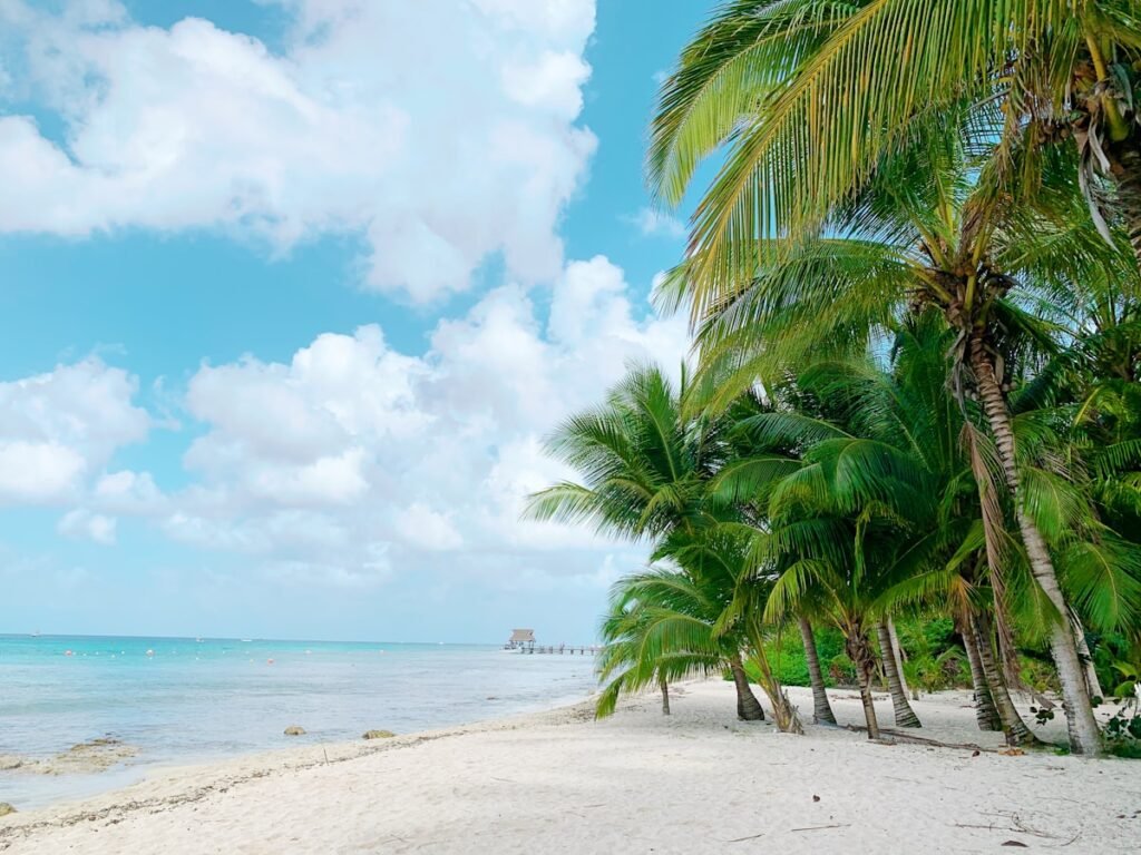 Tropical beach with palm trees, new winter sun routes from Canada
